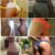 Fatter Cheeks BIGGER BUTT Oil BUTT LIFT BOOTY ENHANCE ROUND Buttocks Fast!